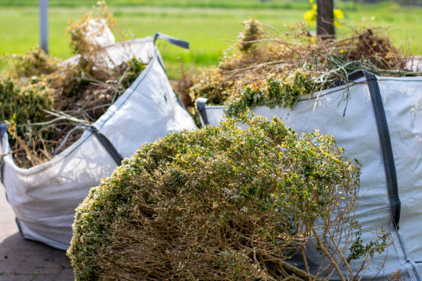 Best Junk Removal Near Me  in Terra Alta, WV