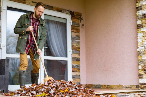 Best Full-Service Junk Removal  in Terra Alta, WV